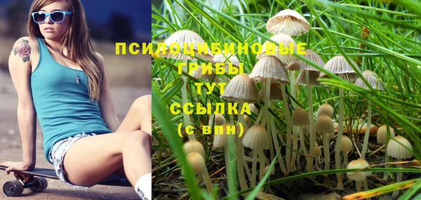 спайс Армянск
