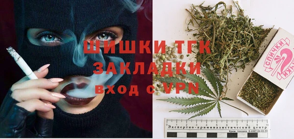 трава Аркадак